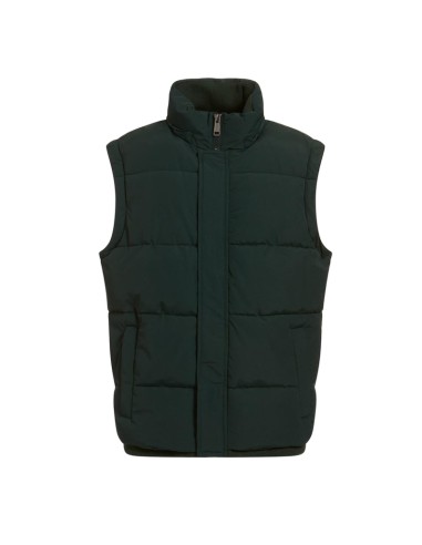 GUESS CHAQUETA M2BL19WEYZ0_VE VERDE (M)